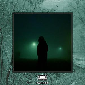 大全海报小鲤导航
